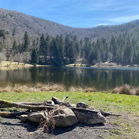 Casa vacanze Moderne à La Bresse, 2 Chambres, Accès Pmr - Fr-1-589-687