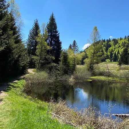 Moderne à La Bresse, 2 Chambres, Accès Pmr - Fr-1-589-687 *