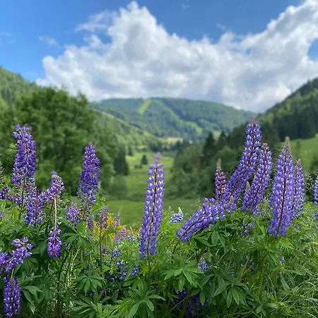 Vakantiehuis Moderne A La Bresse, 2 Chambres, Acces Pmr - Fr-1-589-687