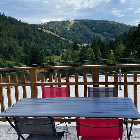 Vakantiehuis Moderne A La Bresse, 2 Chambres, Acces Pmr - Fr-1-589-687 *