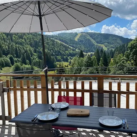 Vakantiehuis Moderne A La Bresse, 2 Chambres, Acces Pmr - Fr-1-589-687