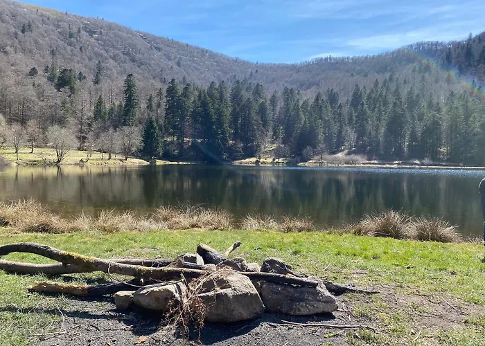 Prázdninový dům Moderne A La Bresse, 2 Chambres, Acces Pmr - Fr-1-589-687