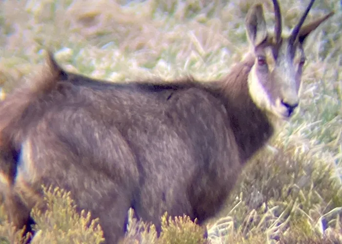 Moderne A La Bresse, 2 Chambres, Acces Pmr - Fr-1-589-687 Prázdninový dům *