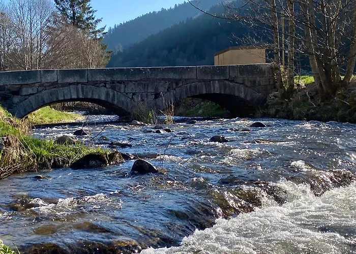 Moderne A La Bresse, 2 Chambres, Acces Pmr - Fr-1-589-687 * La Bresse