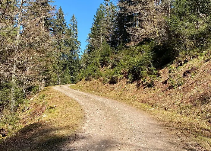 Prázdninový dům Moderne A La Bresse, 2 Chambres, Acces Pmr - Fr-1-589-687