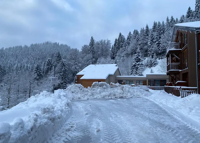 Moderne A La Bresse, 2 Chambres, Acces Pmr - Fr-1-589-687 *