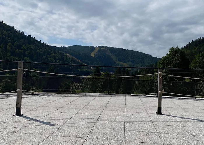 Moderne A La Bresse, 2 Chambres, Acces Pmr - Fr-1-589-687 Prázdninový dům