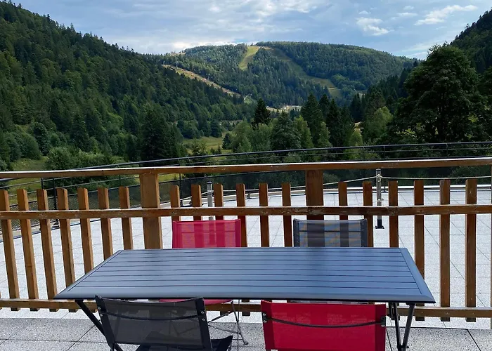 Prázdninový dům Moderne A La Bresse, 2 Chambres, Acces Pmr - Fr-1-589-687 *