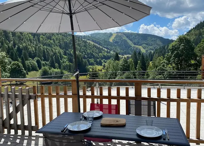 Prázdninový dům Moderne A La Bresse, 2 Chambres, Acces Pmr - Fr-1-589-687